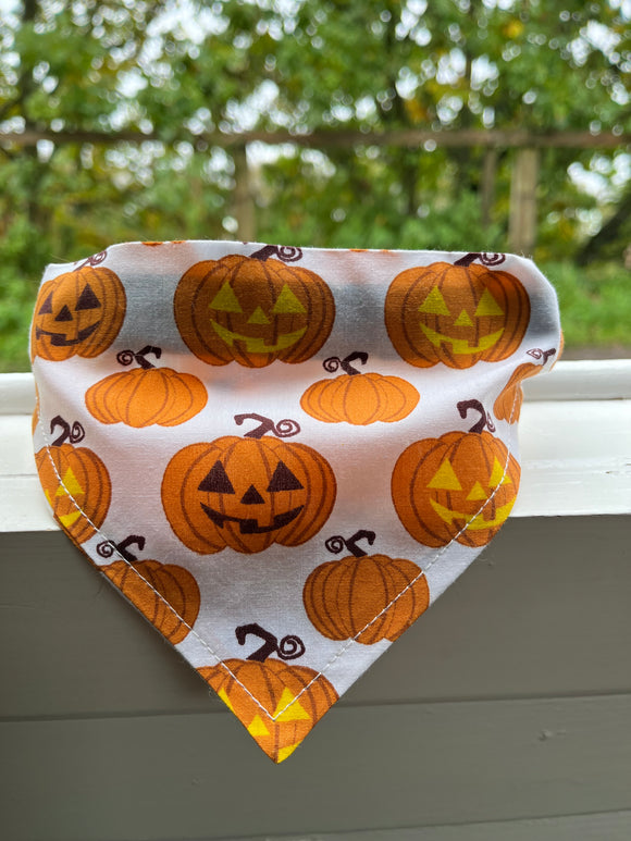 Pumpkin Pet Bandana