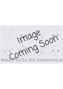 Hearts Pet Seatbelt