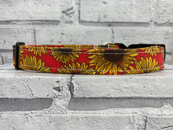 Sunflowers Pet Collar