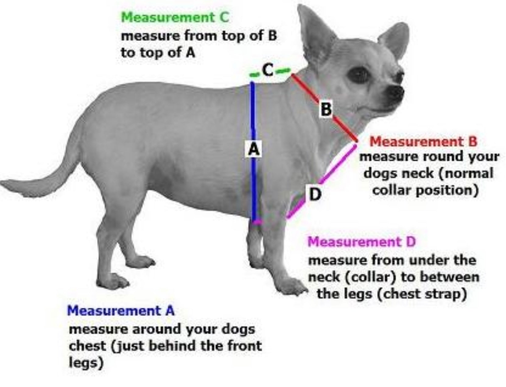 Jimi Pet Dog Harness & Leash Set - Galaxy Pattern Model, Small Size For Small Breed Dogs