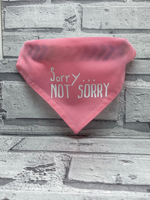 Sorry, NOT SORRY Pet Bandana