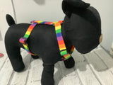 Rainbow Pet Harness