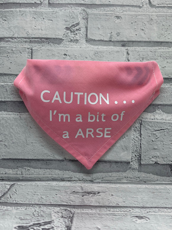 Caution…I’m a bit of an A*S* Pet Bandana