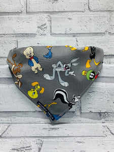 Looney Tunes Pet Bandana