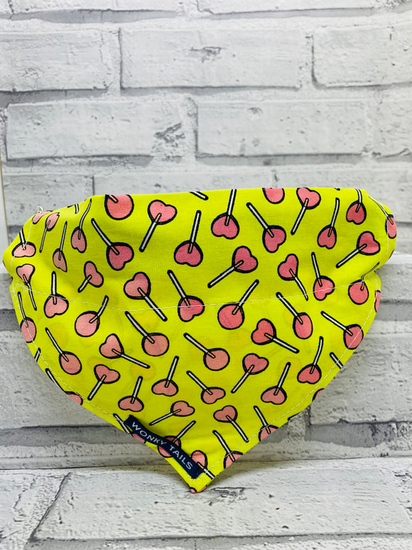 Lollipop Pet Bandana