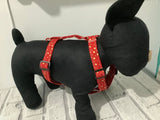 Gold Star Red Pet Harness