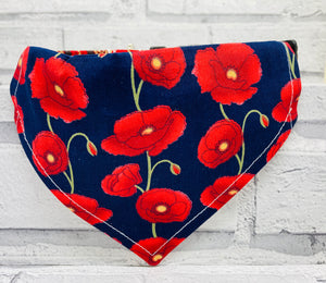 Poppy Remembrance Pet Bandana